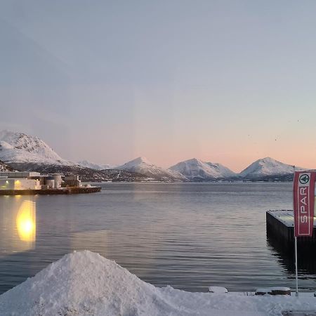 Вилла Aurora Harbour House Лёдинген Экстерьер фото