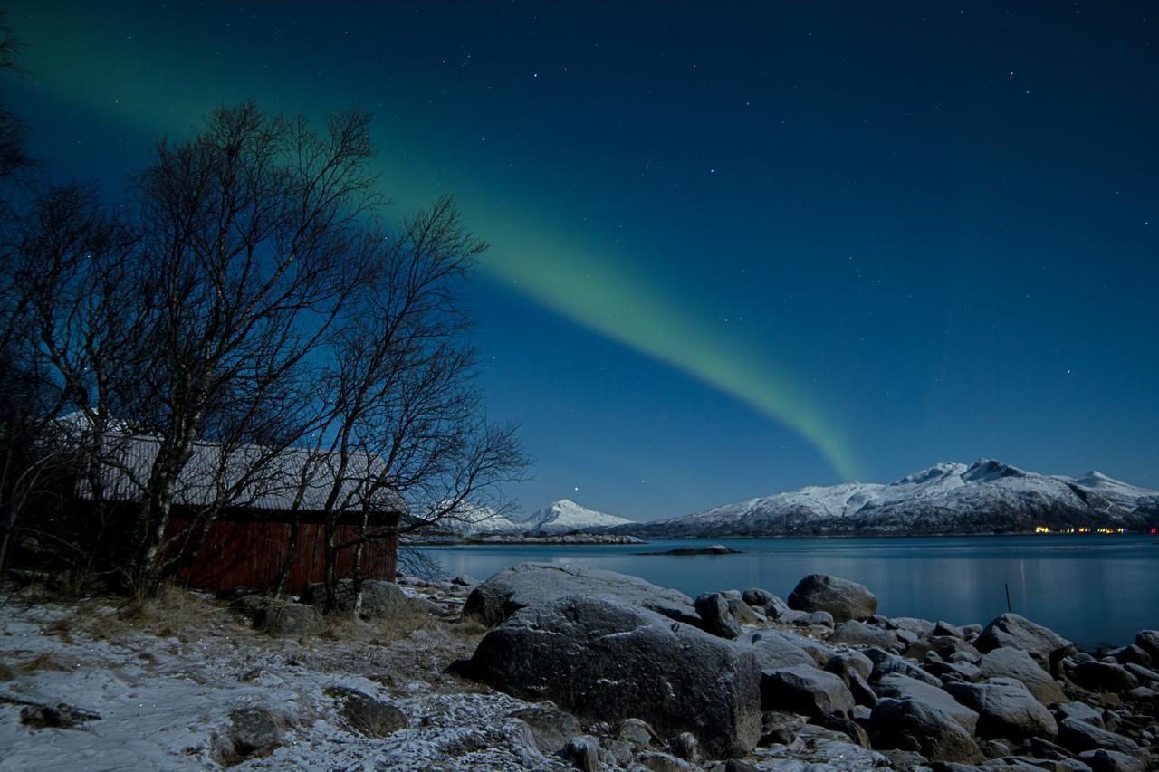 Вилла Aurora Harbour House Лёдинген Экстерьер фото